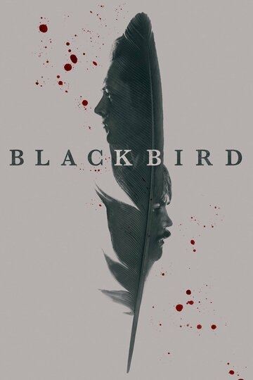 Сериал Чёрная птица / Black Bird